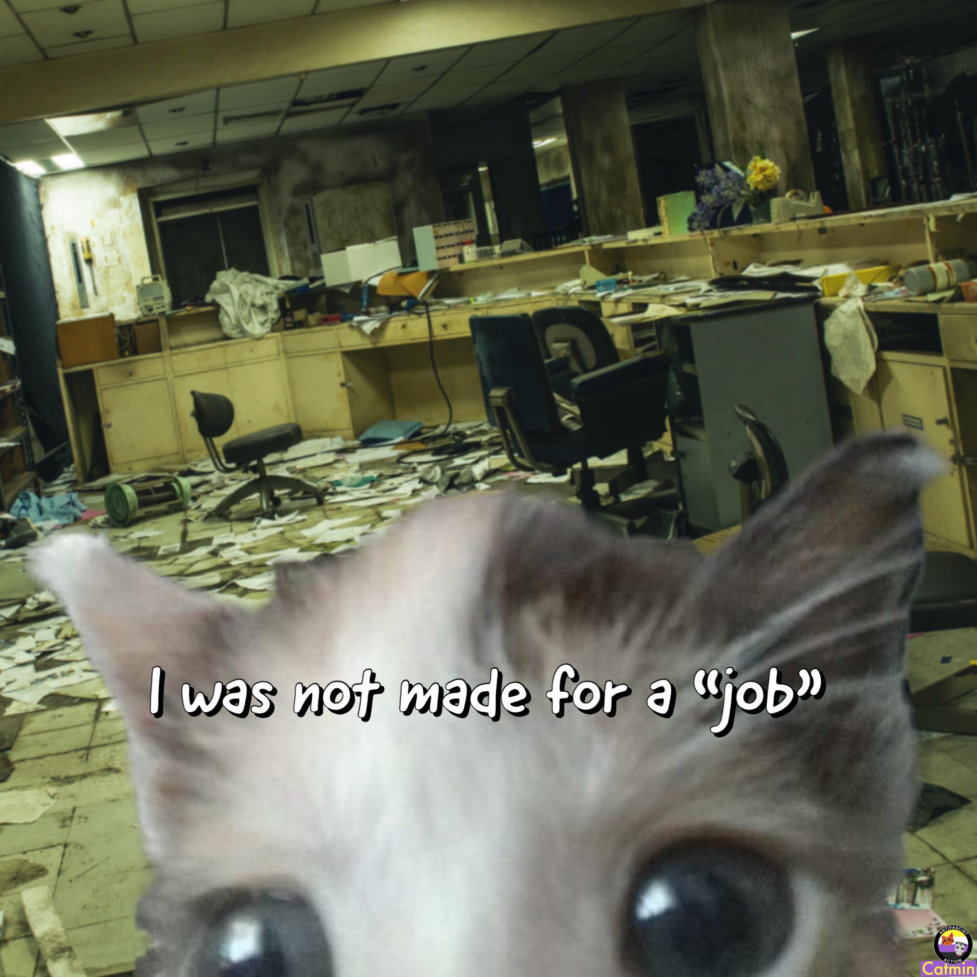 This meme is a humorous image of a cat's face with a distorted, glitchy appearance, as if it's been stretched or warped. The text "I was not made for this job" appears above the cat's face, implying that the cat is frustrated or unhappy with its current situation. The overall tone is lighthearted and comedic, with a hint of irony and self-deprecation.